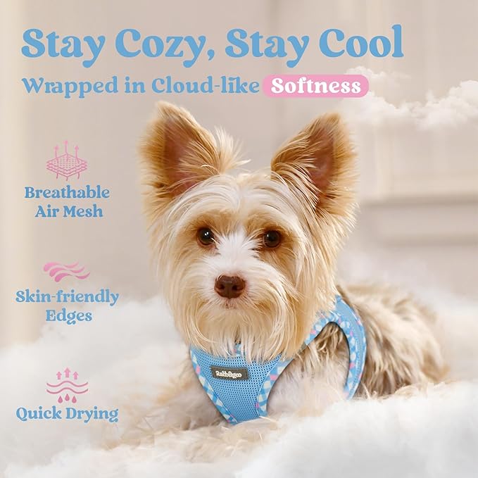 rabbitgoo Small Dog Harness, Step-in Soft Mesh Puppy Vest with Safety Buckle, Breathable Reflective Pet Harness for Small Sized Dogs, Blue & Plaid Trim XS