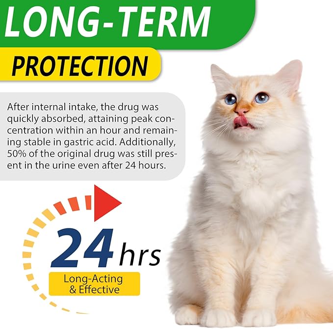 2PACK Antibiotics for Cats, Cats Antibiotics for Injections, Natural antibiotic for Cat Immune & Allergy Relief, Cough Relief, Yeast Injection, UTI Treatments, Cat Antibiotic Supplement Drops, 2*60ML