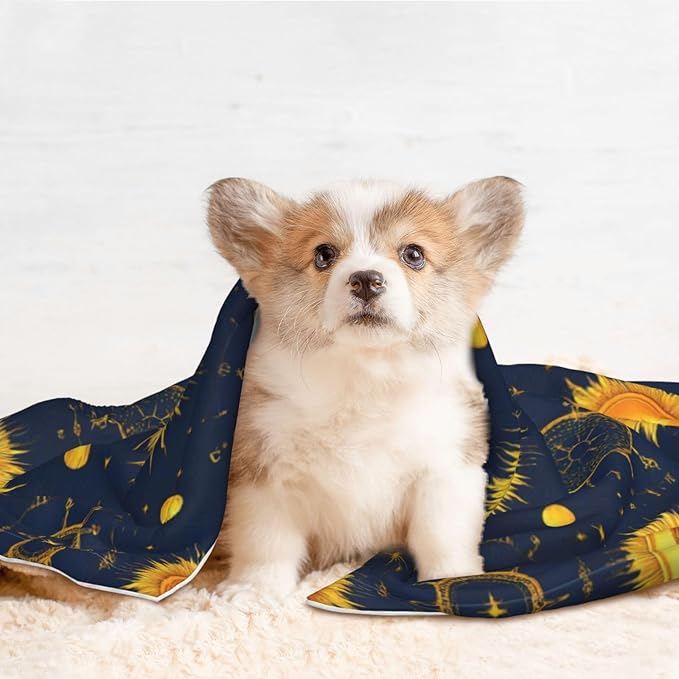 Dog and Cat Blanket in One, Meet 998 Boho Chic Art Golden Sun Moon And Stars Over Blue Black Sky, Double Sided Plush Throw with Raised Dot Pattern on One Side and Flat Velvet on Other for Variety