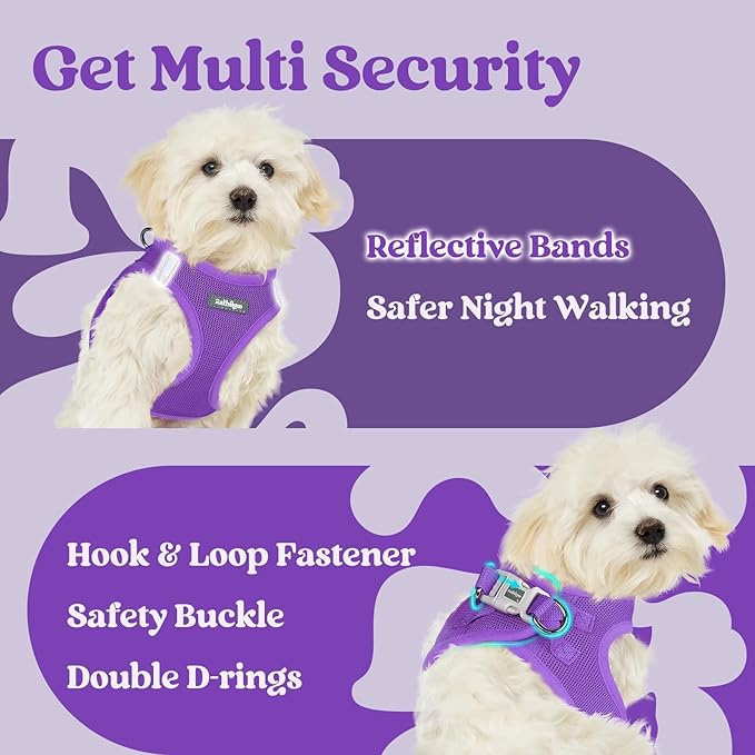 rabbitgoo Small Dog Harness, Step-in Soft Mesh Puppy Vest with Safety Buckle, Breathable Reflective Pet Harness for Small Sized Dogs, Purple M