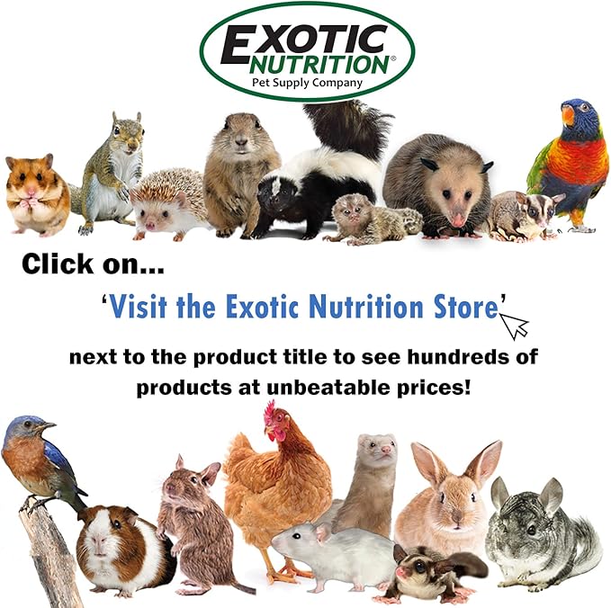 Instant-HPW - All Natural Vitamin Enriched Sugar Glider Food - Healthy & Nutritious - High Protein Wombaroo - Staple Diet (8 oz)