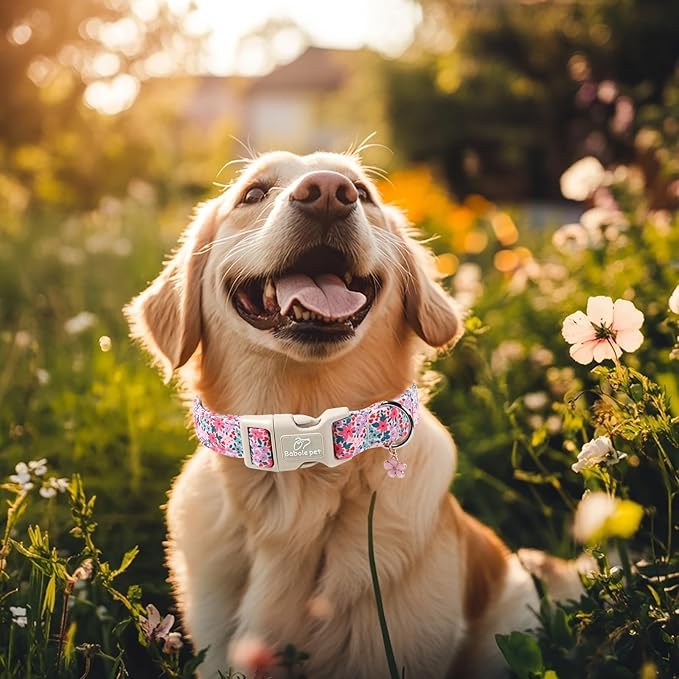 Floral Dog Collar, Cute Girl Dog Collars - Pastel Wildflowers Pattern Spring Summer Puppy Collar, Adjustable Female Dog Collars for Small Medium Large Dogs M