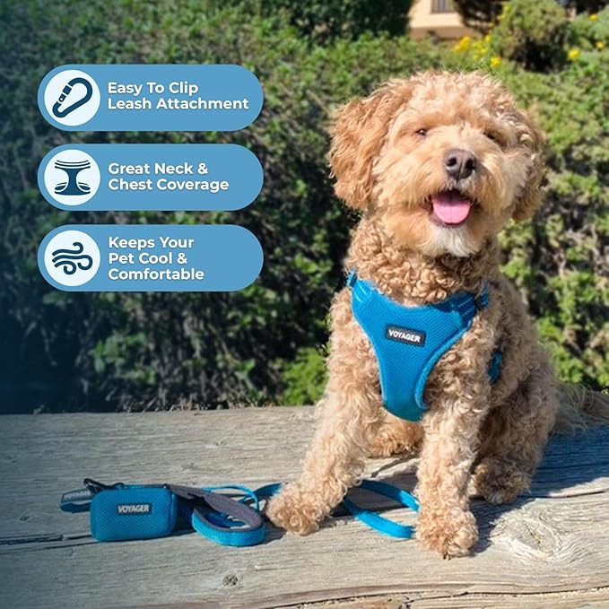 Best Pet Supplies Voyager Adjustable Step-in Flex Breathable Mesh Dog Harness for Small Medium Large Dogs (Turquoise), XS