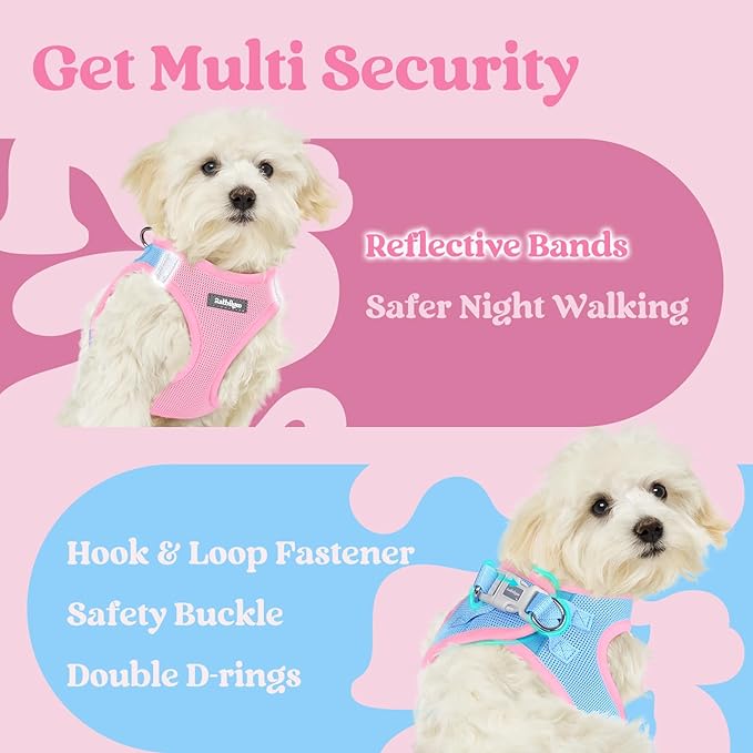 rabbitgoo Small Dog Harness, Step-in Soft Mesh Puppy Vest with Safety Buckle, Breathable Reflective Pet Harness for Small Sized Dogs, Blue & Light Pink S