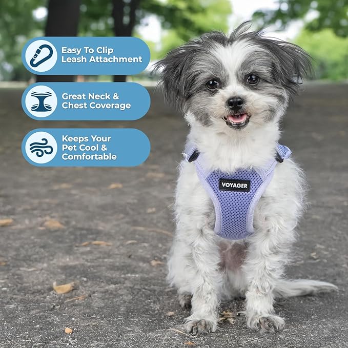 Best Pet Supplies Voyager Adjustable Step-in Flex Breathable Mesh Dog Harness for Small Medium Large Dogs (Lavender), XS