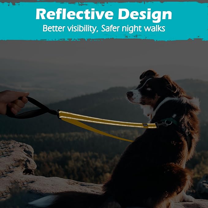 PetBonus Two Point Control Dog Leash, Works with No Pull Harnesses, No Tangle Training Leashes, Soft Padded and Reflective Walking Lead, Converts to Single Lead for Medium Large Dogs (Yellow)