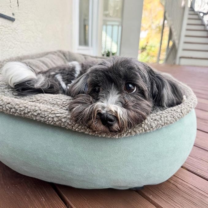 CAROLINA PET COMPANY Microfiber & Tipped Berber Comfy Cup Dog Bed - Chocolate, S