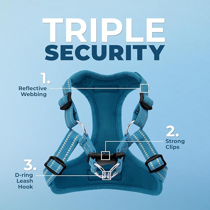 Best Pet Supplies Voyager Adjustable Step-in Flex Breathable Mesh Dog Harness for Small Medium Large Dogs Leash Set (Turquoise), XS