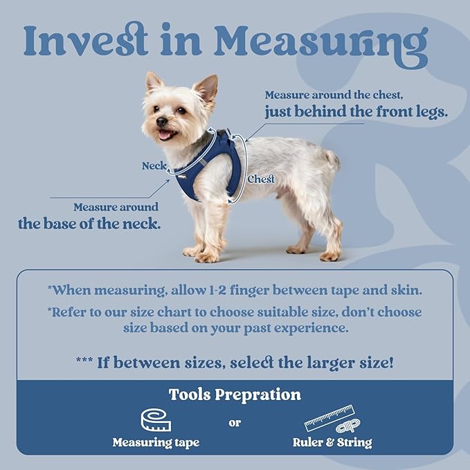 rabbitgoo Small Dog Harness, Step-in Soft Mesh Puppy Vest with Safety Buckle, Breathable Reflective Pet Harness for Small Sized Dogs, Navy Blue M