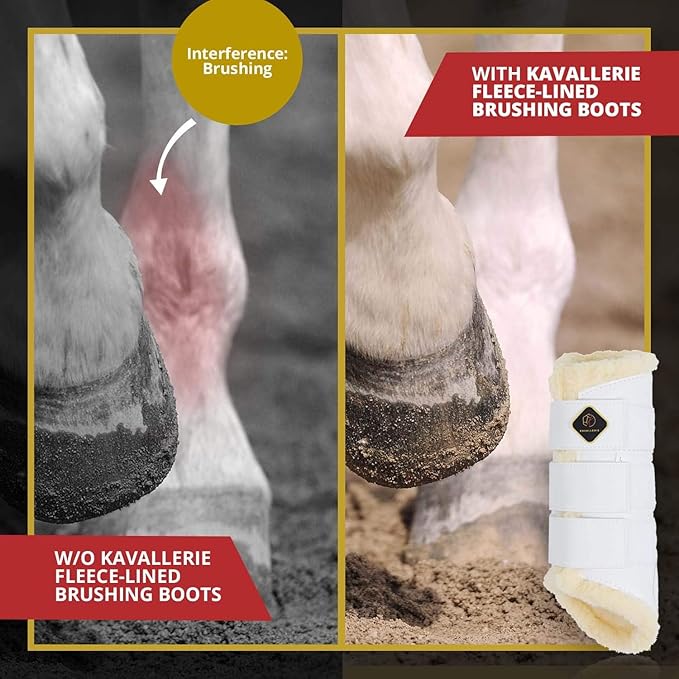 Kavallerie Classic Tendon Boots, Impact-Absorbing Material, Breathable & Evenly Distribute Pressure, Protect Tendon and Ligaments, Anti-Slip, Anti- Sore and Moisture Repellant Show Jumping Boots