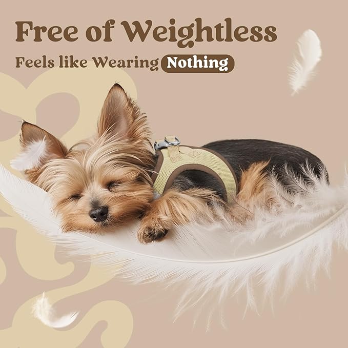 rabbitgoo Small Dog Harness, Step-in Soft Mesh Puppy Vest with Safety Buckle, Breathable Reflective Pet Harness for Small Sized Dogs, Brown & Beige S