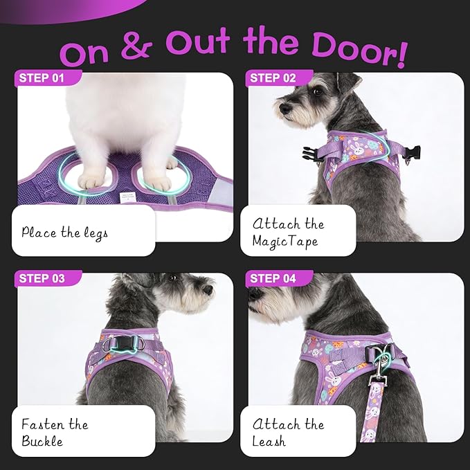 EXPAWLORER Easter Small Dog Harness - Dog Collar and Leash Set - Soft Mesh Padded Adjustable Step in Puppy Vest Harness No Pull, Reflective Escape Proof for Outdoor Walking, Bunny Egg M