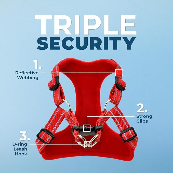 Best Pet Supplies Voyager Adjustable Step-in Flex Breathable Mesh Dog Harness for Small Medium Large Dogs Leash Set (Red), S
