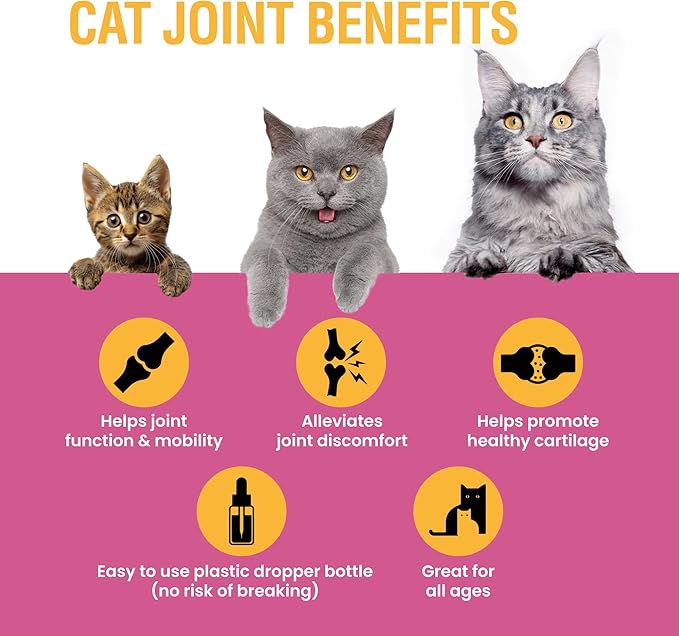 Special Breed Cat Joint Supplement, Liquid Glucosamine with Chondroitin for Cats, Feline Hip and Joint Pain Relief, 2 oz
