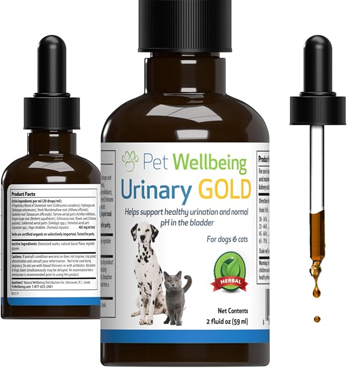 Pet Wellbeing Urinary Gold for Cats - Supports Urinary Tract Health, Normal Frequency, Healthy Immune Response, Stoneroot, Hydrangea - Veterinarian-Formulated Herbal Supplement 2 oz (59 ml)