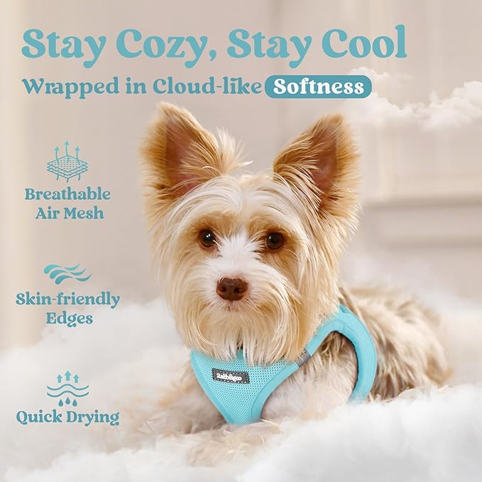 rabbitgoo Small Dog Harness, Step-in Soft Mesh Puppy Vest with Safety Buckle, Breathable Reflective Pet Harness for Small Sized Dogs, Mint Blue S
