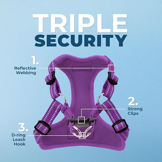Best Pet Supplies Voyager Mesh Dog Breathable Harness Reflective Stitching, All Weather Adjustable for Walking Training, or Running - Heavy Duty & Durable, Harness Leash Set (Purple), XS