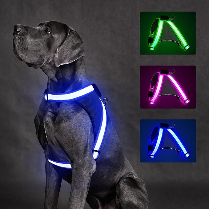 ChalkLit Light Up Dog Harness, No Pull Led Dog Harness Glow-in-The-Dark for Night Walking, USB Rechargeable Lighted Safety Vest for Small Dogs, Adjustable Soft Mesh Fully Illuminated (Blue, Small)