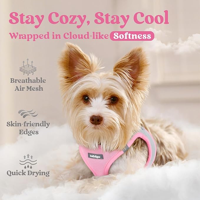 rabbitgoo Small Dog Harness, Step-in Soft Mesh Puppy Vest with Safety Buckle, Breathable Reflective Pet Harness for Small Sized Dogs, Pink & Gray XS