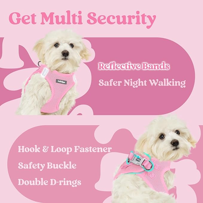 rabbitgoo Small Dog Harness, Step-in Soft Mesh Puppy Vest with Safety Buckle, Breathable Reflective Pet Harness for Small Sized Dogs, Light Pink S