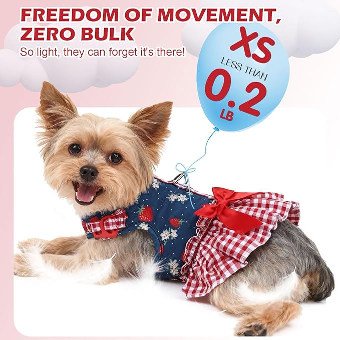 EXPAWLORER Dog Harness Small Medium Sized Dogs, Plaid Dog Dress Bowknot Harness and Leash Set, No Choke No Pull Soft Mesh Vest Cute Princess Puppy Outfits Clothes Costume for Girls Party Cats Navy M