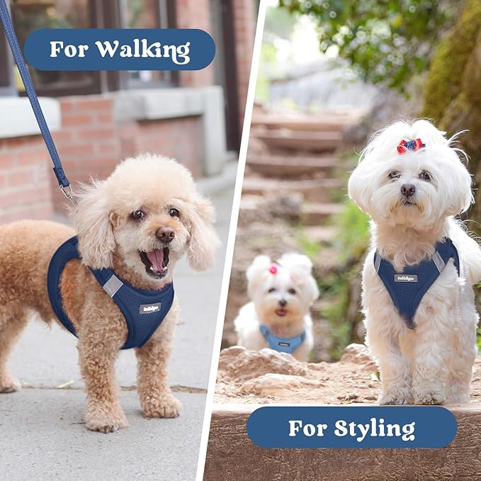 rabbitgoo Small Dog Harness, Step-in Soft Mesh Puppy Vest with Safety Buckle, Breathable Reflective Pet Harness for Large Dogs, Navy Blue XXL
