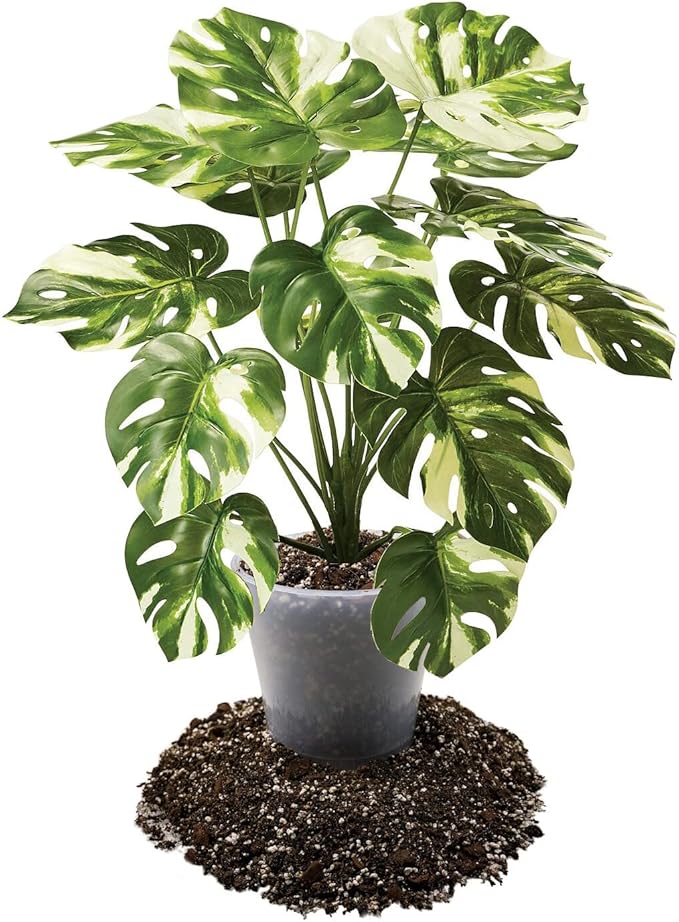 Premium Aroid Potting Mix - Soil Free Blend for Aroids - Growing Medium for House Plants by Gardenera - (3 Quart Bag)