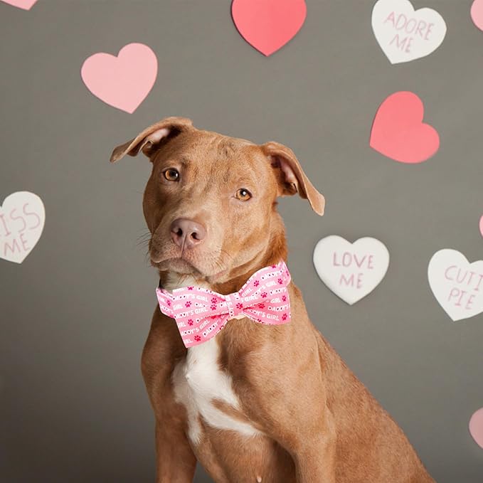 Lionheart glory Dog Bow Collar Valentine's Day Dog Collar for X-Large Dogs, Pink Dog Collars with Bowtie Spring Dog Collar Pet Collar Bows