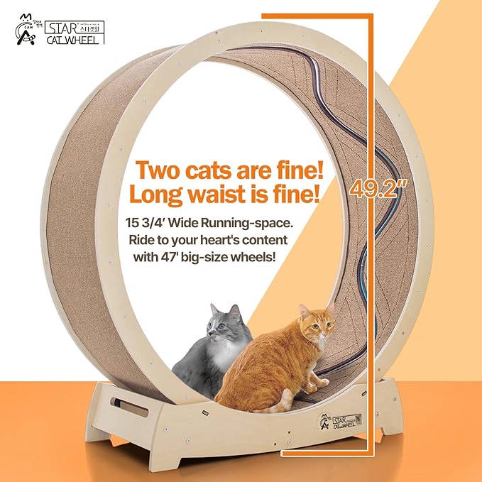 Star Cat Wheel, Cat Treadmill, Exercise Wheel for Running, Spinning, Scratching, and Climbing for Indoor Cats, Premium Birch Wood, Eco-Friendly, Moving Fish, Wide Running Track, 47.2 inch XL Size