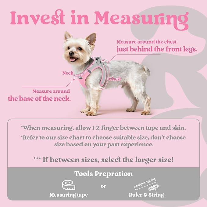 rabbitgoo Small Dog Harness, Step-in Soft Mesh Puppy Vest with Safety Buckle, Breathable Reflective Pet Harness for Small Sized Dogs, Pink & Gray XS