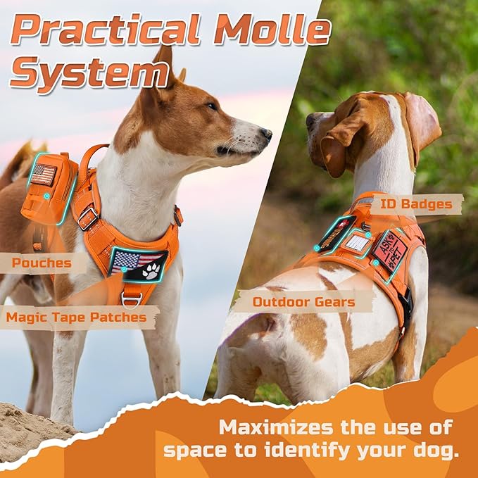 rabbitgoo Tactical Dog Harness for Small Dogs, No Pull Military Service Vest with Handle & Molle, Easy Control for Training Walking, Adjustable Reflective Straps, Orange, S