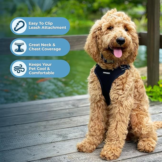 Best Pet Supplies Voyager Adjustable Step-in Flex Breathable Mesh Dog Harness for Small Medium Large Dogs Leash Set (Black), XS