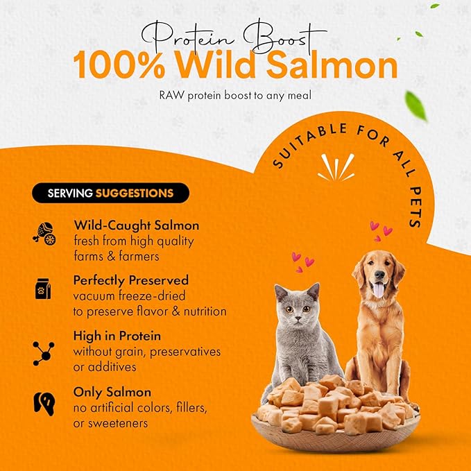 Freeze-Dried Salmon Treats for Cats & Dogs – 100% Wild Caught, Single Ingredient, High-Protein, Healthy Snack – No Additives or Preservatives – 1.4oz - Inspected & Tested in USA