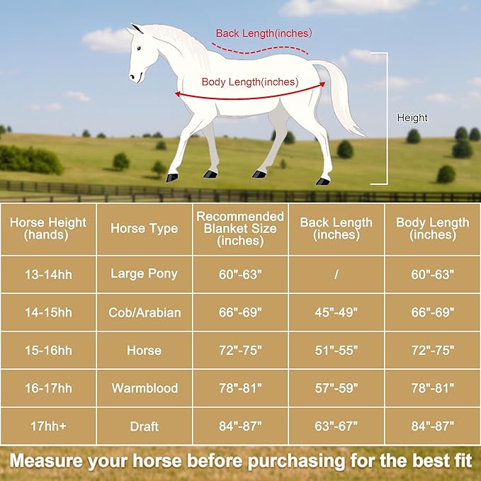 Horse Fleece Cooler, Blanket Liner - 300g Anti-Pilling Fleece, Moisture-Wicking, Cooling & Drying for Post-Workout, Bath & Travel, Prevent Overheating & Chilling Black 81