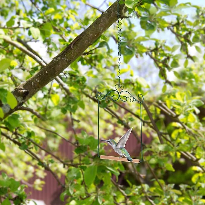 2 Pcs Hummingbird Swings and Perches Metal Frame Bird Swing with 2 Replacement Wooden Dowel and 2 Hanging Chain for Outdoor Bird Feeders, Planters, Lanterns Ornaments(Dark Green)