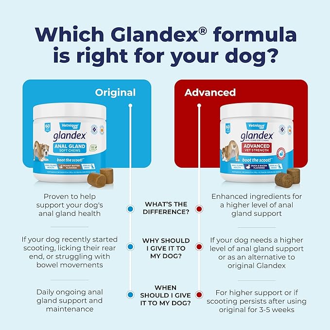 Vetnique Glandex Anal Gland Soft Chew Treats with Pumpkin for Dogs Digestive Enzymes, Probiotics Fiber Supplement for Dogs Boot The Scoot (Advanced Strength Duck/Bacon Chews (Vegetarian), 60 Ct)