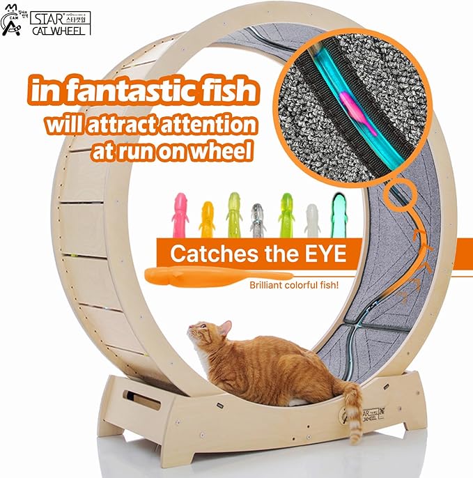 Star Cat Wheel, Cat Treadmill, Exercise Wheel for Running, Spinning, Scratching, and Climbing for Indoor Cats, Premium Birch Wood, Eco-Friendly, Moving Fish, Wide Running Track, 41.7 inch L Size