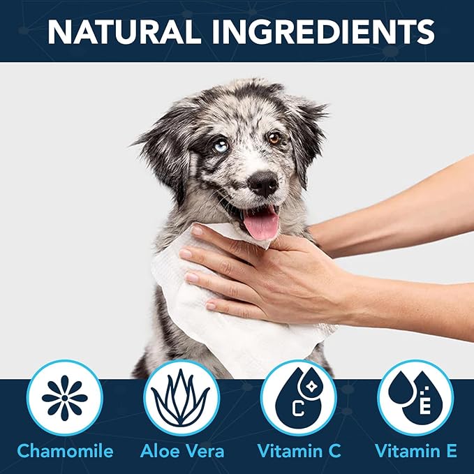 NOVEHA Dog Wipes - Odor Eliminating and Cleaning Grooming Wipes for Dog's Paws, Body, and Butt - Perfect for Puppy and Adult Dogs - Plant-Based, Safe, Convenient & Large Unscented Wipes (360 Counts)