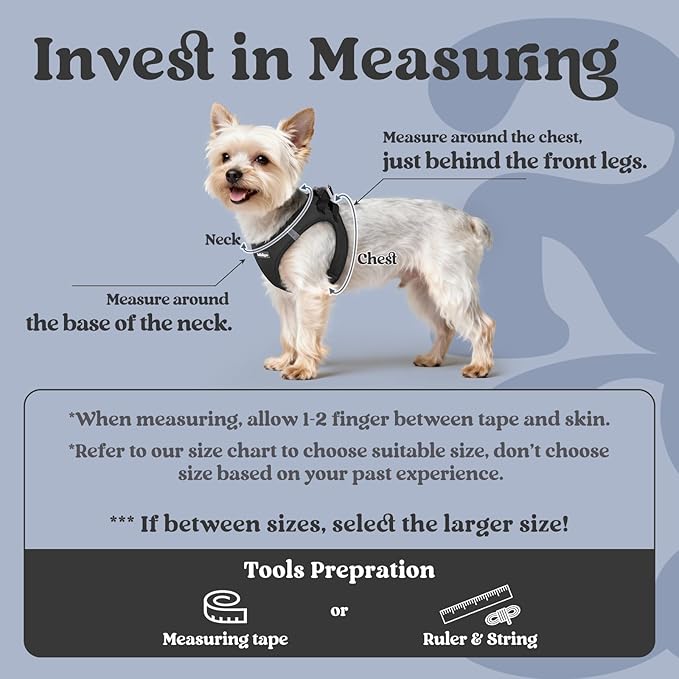 rabbitgoo Small Dog Harness, Step-in Soft Mesh Puppy Vest with Safety Buckle, Breathable Reflective Pet Harness for Large Dogs, Black XXL