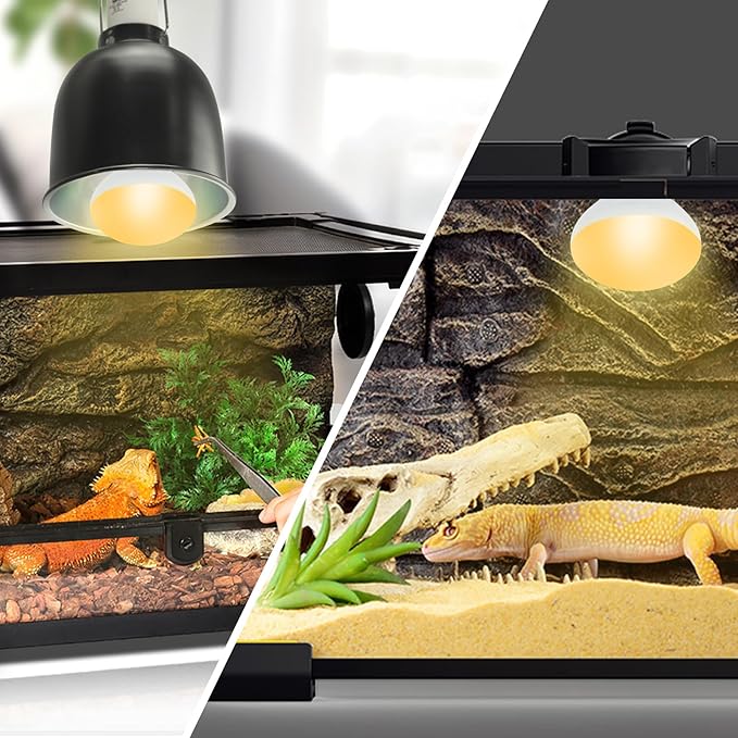 LUCKY HERP Heat Lamp Bulbs, 25W Reptile Heat Lamp 2 Pack Reptile Heat Lamp Bulbs, Daylight Basking Spot Heat Light Bulb, Amphibians Lamp Bulbs fo Chameleons, Snakes, Lizard, Turtle