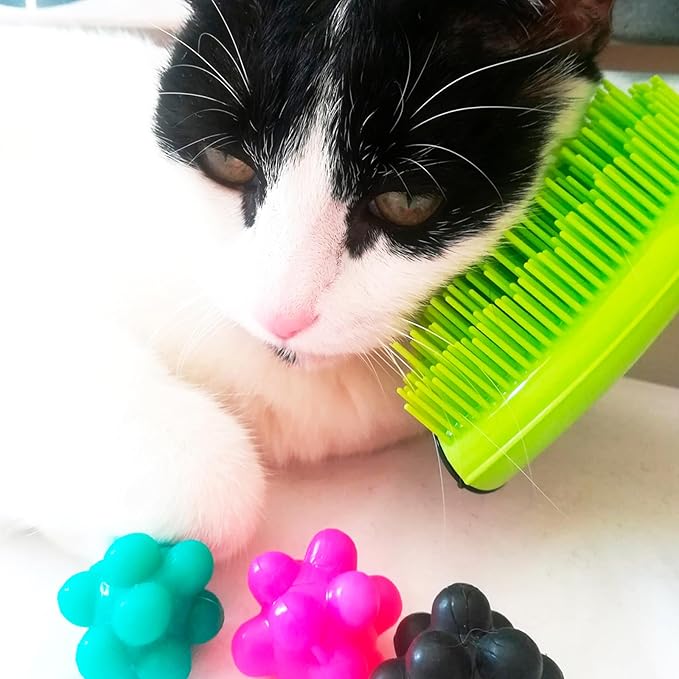 Michel Mercier Pet Detangling Brush - Fine or Normal Fur - Cat & Dog Brush for Grooming, Detangling & Deshedding - 1 pc