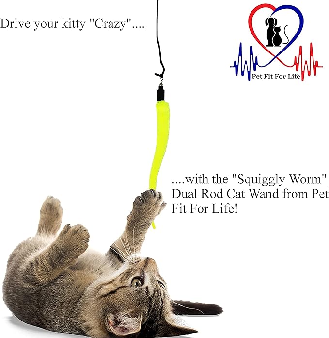Pet Fit For Life Cat Wand Toy: 5-Piece Worm Teaser & Exerciser - Durable Flirt Pole/Cat Teaser Toy – Interactive Fun for Feline Fitness