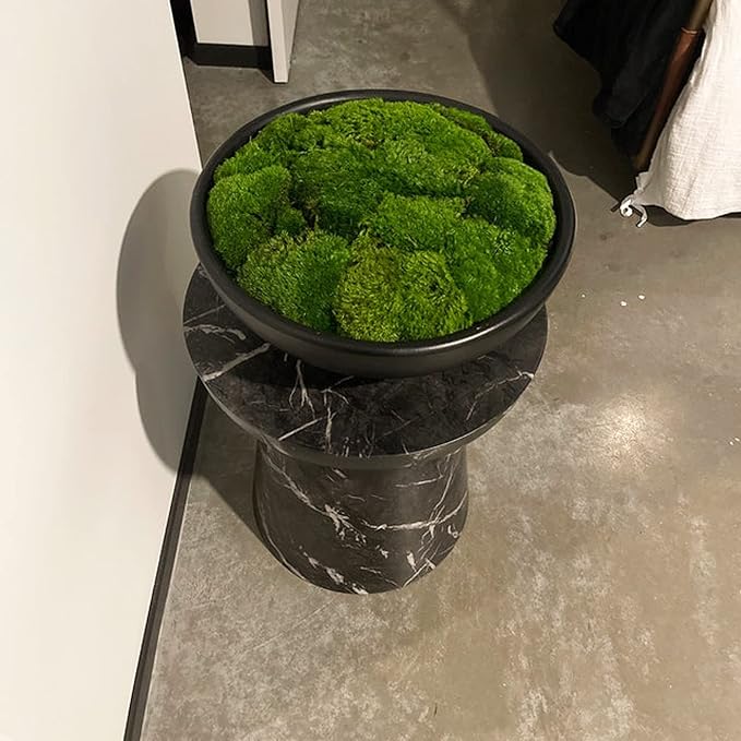 Preserved Pole Moss Pillow Bun Cushion Natural Green Decorative Real Natural Green DIY Kit Terrariu7r Table Decor Wedding (10.5 sq.ft., Green-B)