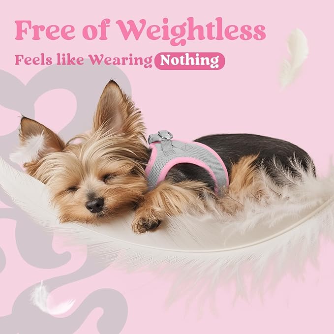 rabbitgoo Small Dog Harness, Step-in Soft Mesh Puppy Vest with Safety Buckle, Breathable Reflective Pet Harness for Small Medium Dogs, Pink & Gray L