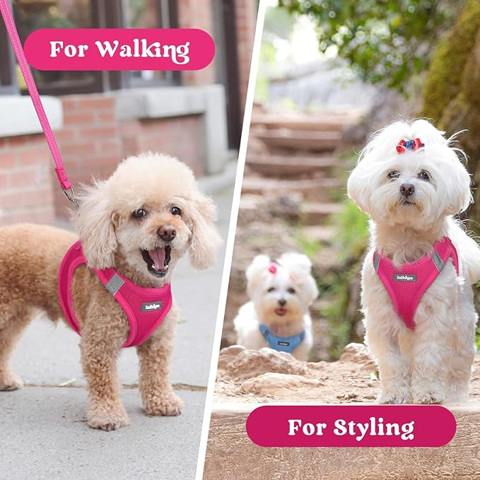 rabbitgoo Small Dog Harness, Step-in Soft Mesh Puppy Vest with Safety Buckle, Breathable Reflective Pet Harness for Small Medium Dogs, Rose Red L