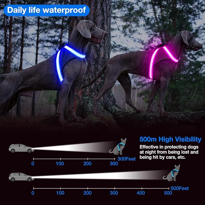 ChalkLit Light Up Dog Harness, No Pull Led Dog Harness Glow-in-The-Dark for Night Walking, USB Rechargeable Lighted Safety Vest for Small Dogs, Adjustable Soft Mesh Fully Illuminated (Blue, Small)