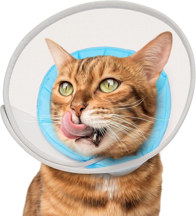 Cat Cone Collar Soft: Comfortable Waterproof Mesh Recovery Cone After Surgery to Stop Licking and Scratch, Alternative to Plastic Elizabeth Head/Neck Cone
