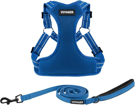Best Pet Supplies Voyager Adjustable Step-in Flex Breathable Mesh Dog Harness for Small Medium Large Dogs Leash Set (Royal Blue), L