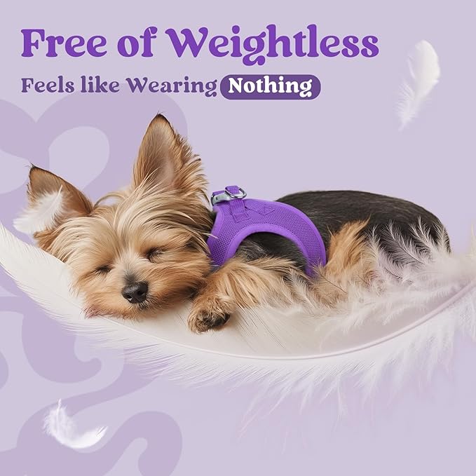 rabbitgoo Small Dog Harness, Step-in Soft Mesh Puppy Vest with Safety Buckle, Breathable Reflective Pet Harness for Small Sized Dogs, Purple S