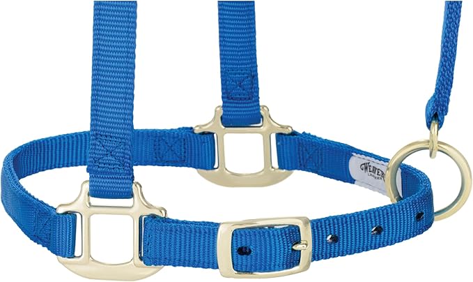 Weaver Equine Breakaway Horse Halter, Supple Leather Crown, Adjustable Chin & Throat Snap Halters for Horses, Equine Tack